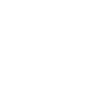 MOKAN Elite logo